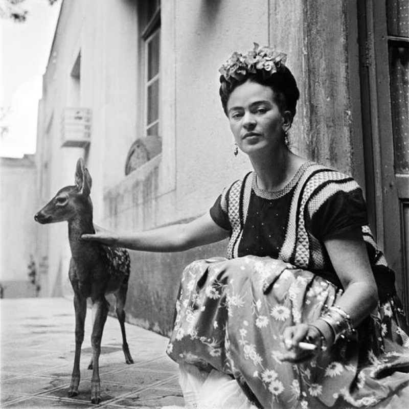 Frida Khalo ze swoim zwierzakiem 